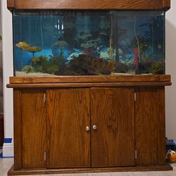 80 gallon fish tank