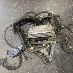 Ls Swap Harness And ECU