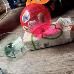 Hamster Ball, Wheel And Bedding