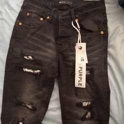 Jeans PURPLE