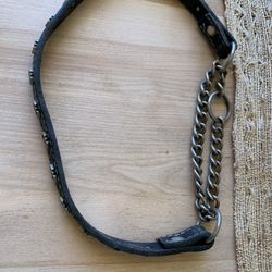 Vintage Dog Collar