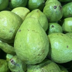 Fruteria Lily Farm 16405 Sw 177 Ave