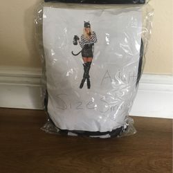 Cat Burglar Costume 