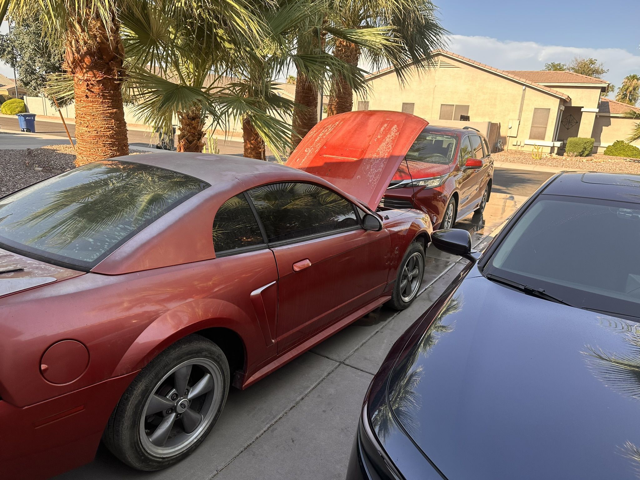 Sitemapcdatahttpsomobeldreferenzcomfascinating Ford Mustang For Sale In Gilbert Pictures
