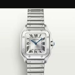 Brand New Watch With Box And Papers 