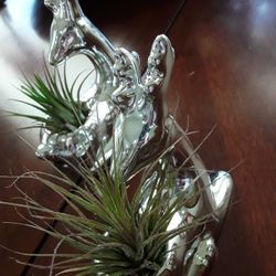 Beautiful Deer Real Plants In Weeki Wachee Spring Hill