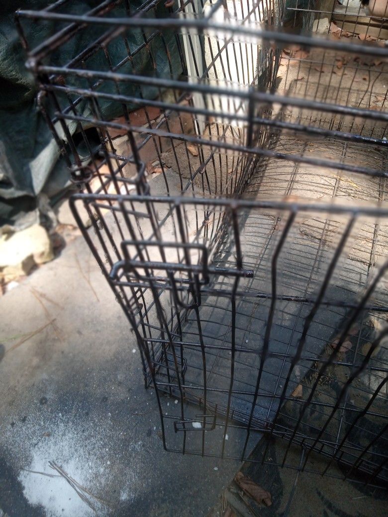 Extra Large Doĝ Crates