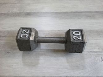 20 lb Cast Iron Hex Dumbbell