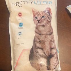 Cat Sand 