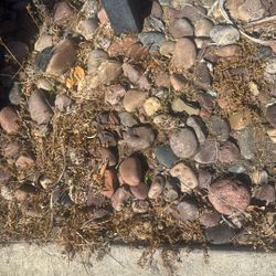 Free: Large River Rocks