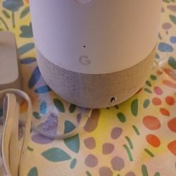 Google Home