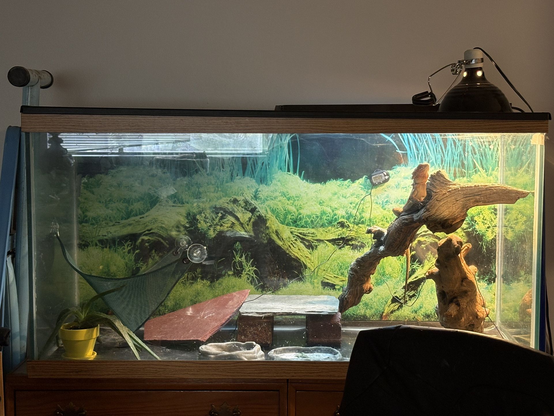 90 Gallon Tank (Read Description)