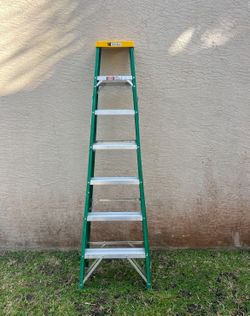 Davidson 7ft Fiberglass Ladder