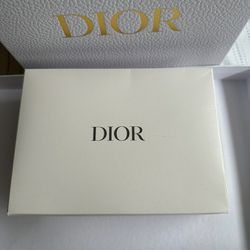 Dior Cosmetics Bag