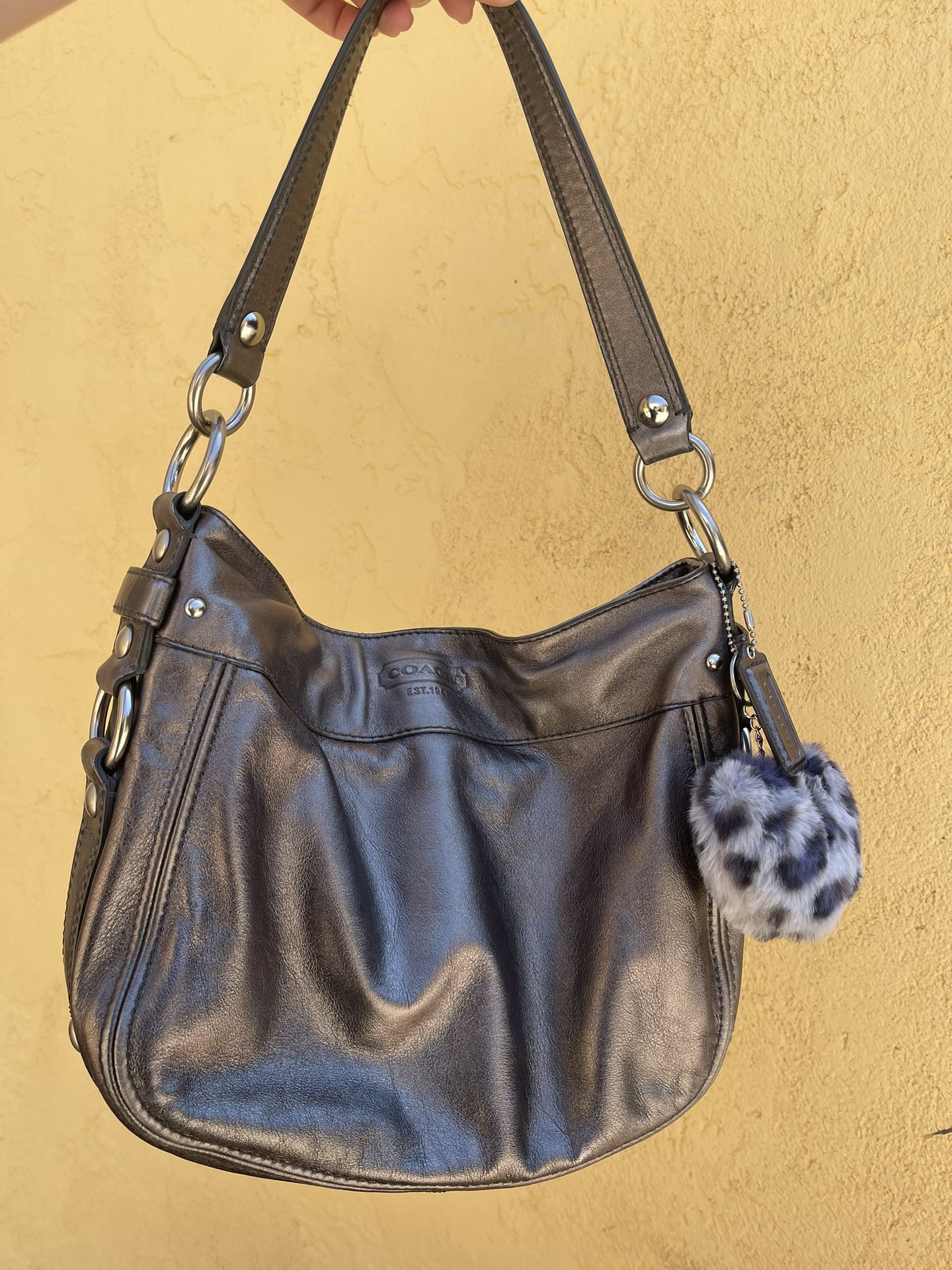 Coach Zoe Shoulder Bag