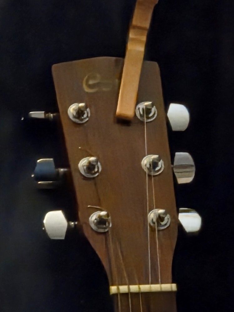 Cort Accoustic -mandolin-lawsuit Series Lespaul Copy