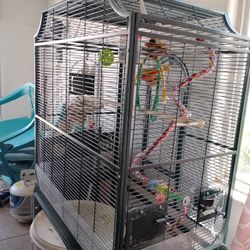 Bird Cage