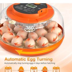 YNOLIZM 18 Egg Incubator with Automatic Egg Turning