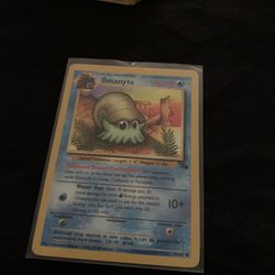 Omanyte Base
