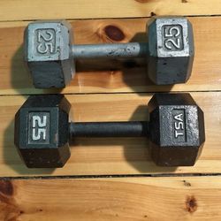 Pair of 25lb Hex Dumbbells (50lbs total)
