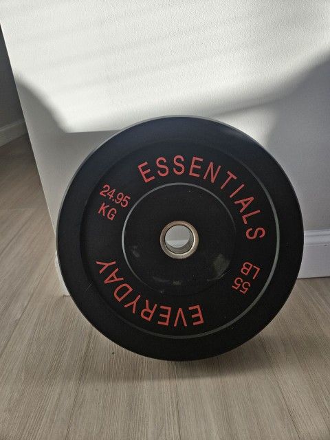 1 dumbbell plate 55lb