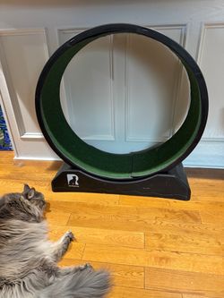 Cat Exercise Wheel