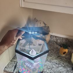 Kids Betta Fish Tank 