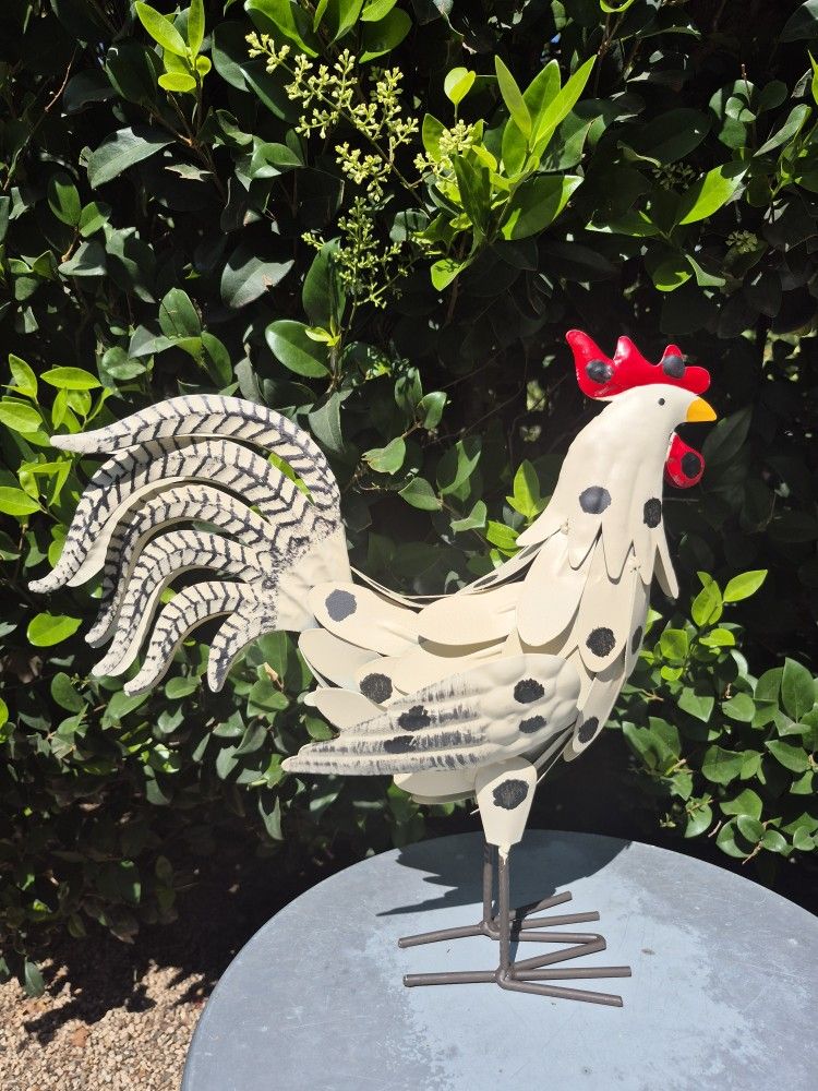 White Rooster 🐓