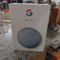 Google Nest Mini