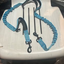 Dog Leash