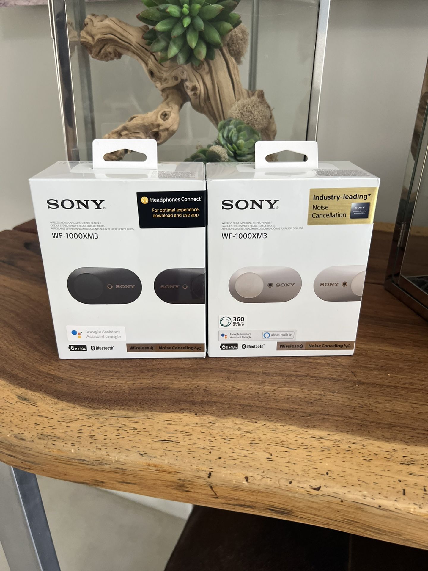 Bluetooth Wf1000xm3 Windows Sony WF-1000XM3 Bluetooth Wireless