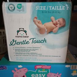 Gentle Touch Diapers Size 1 $196 Count $20