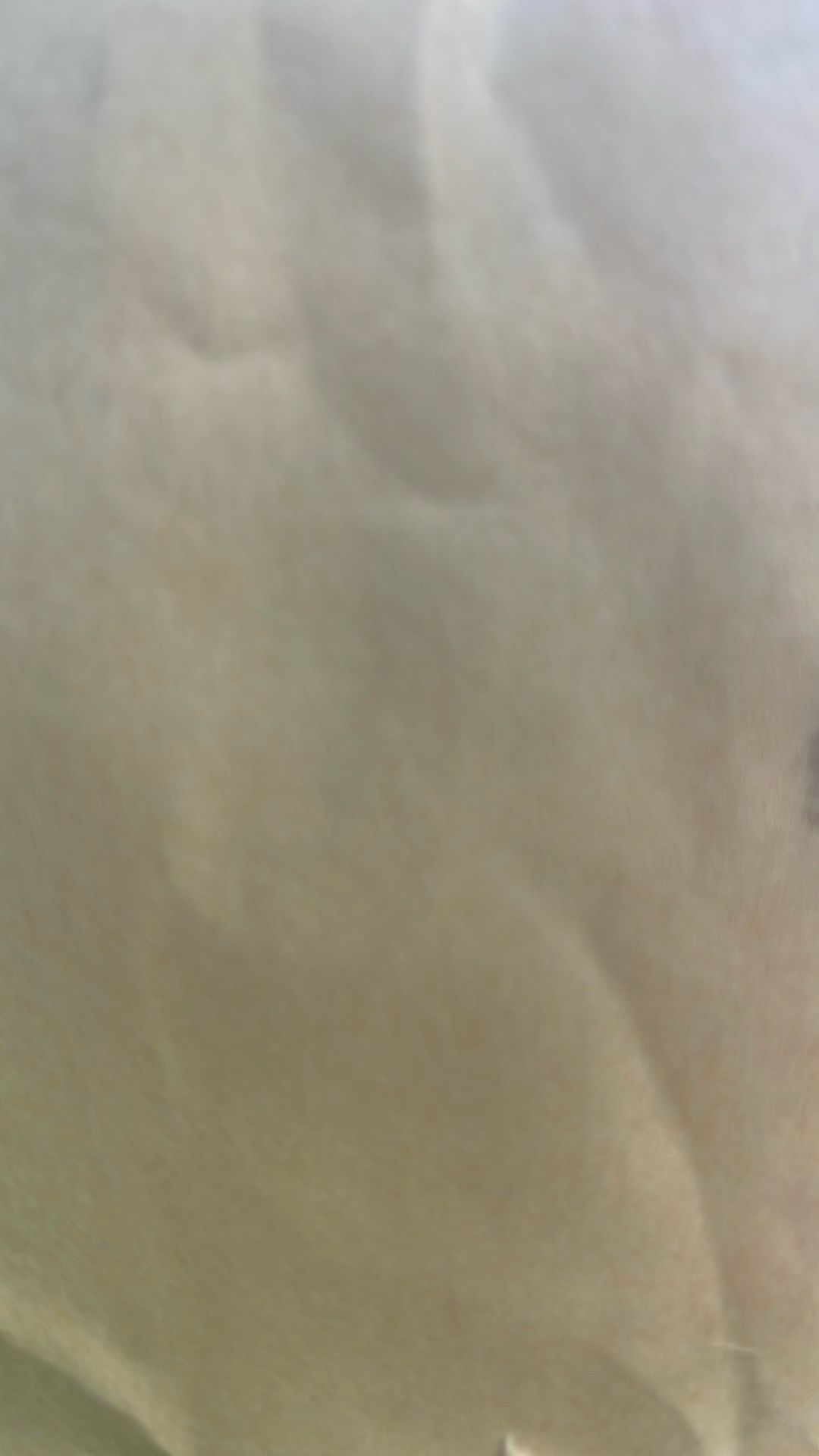 ESCAPE Psyco Circus GA 2 Day Pass$225