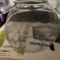 Fish Bowl