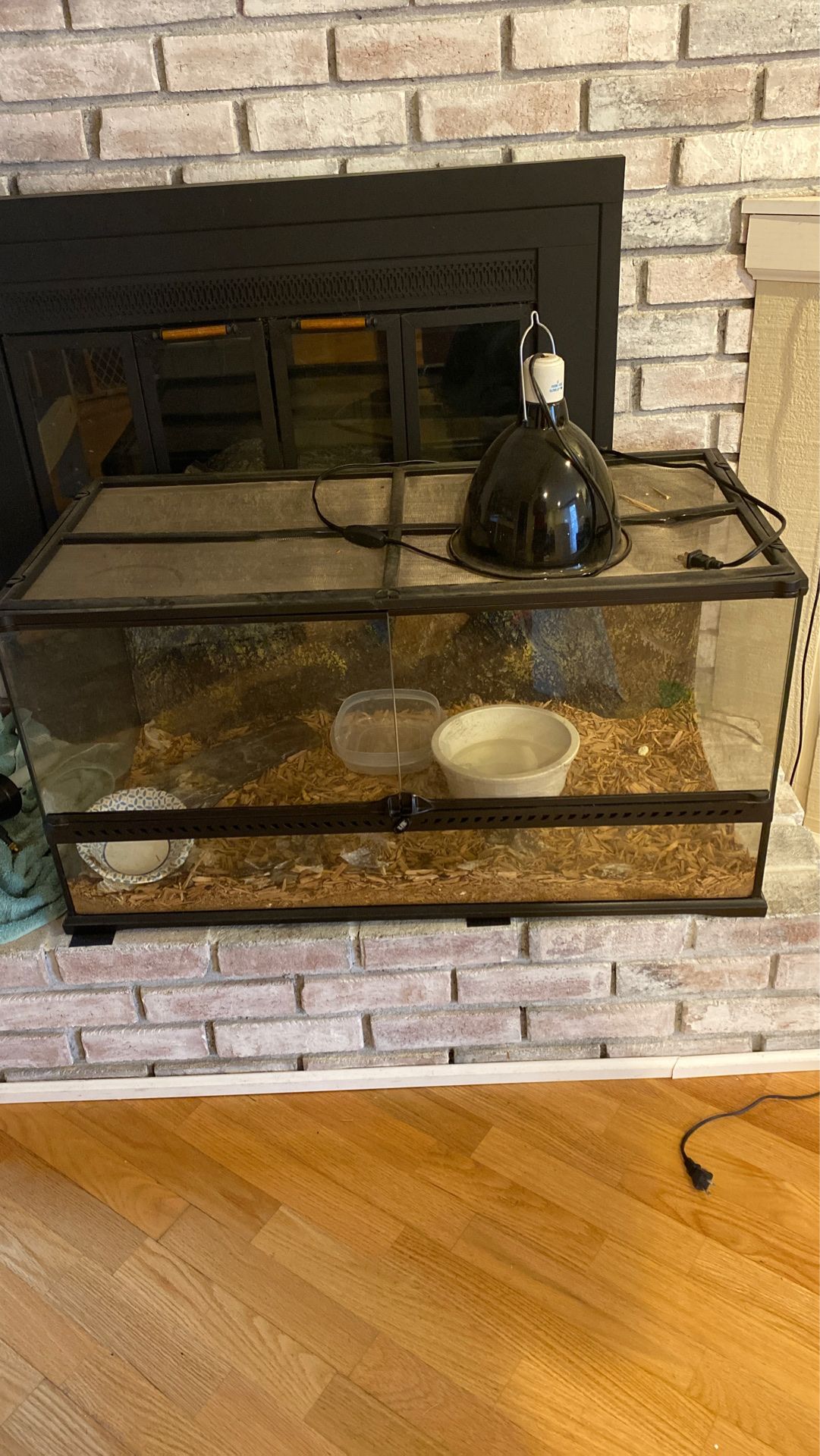 LARGE EXO TERRA CAGE