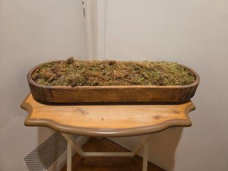 Moss Vase