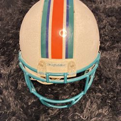 Big dolphins helmet