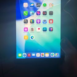 iPad 128gb WiFi+ Cellular 