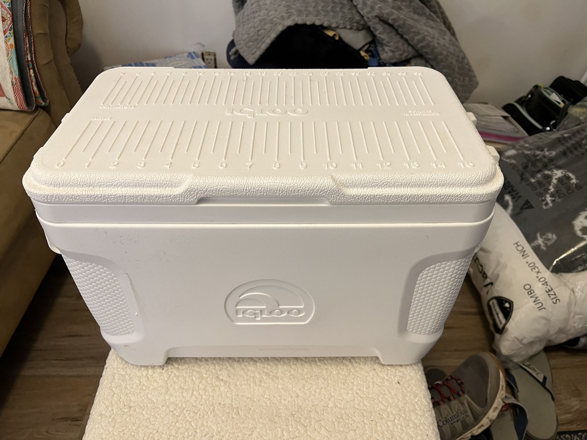 Igloo Small Cooler