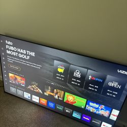65inc Vizio v tv 