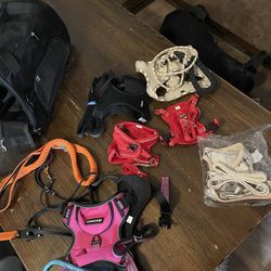 Harnesses And Leashes 