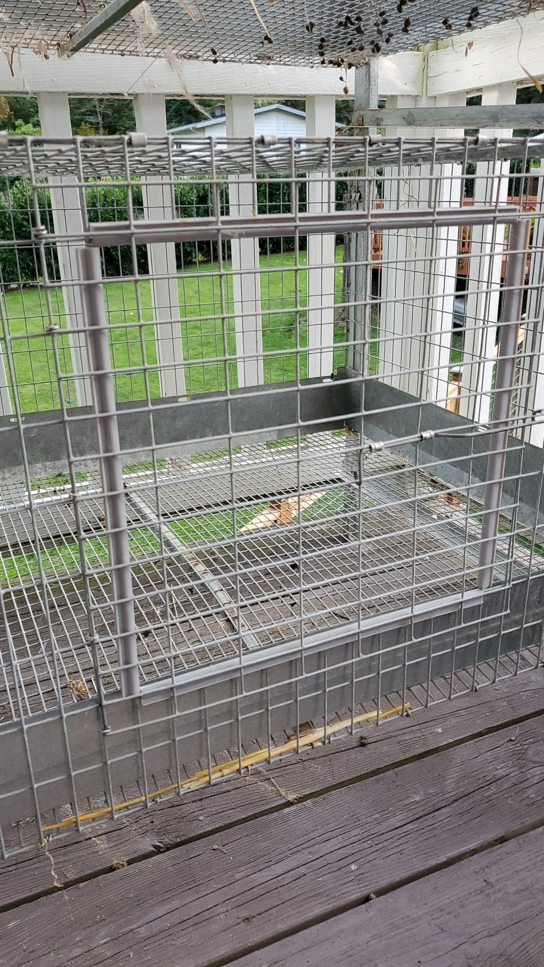 KW Cages for Sale in Kent, WA OfferUp
