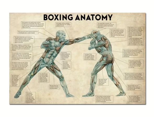 Boxing Training Canvas Poster