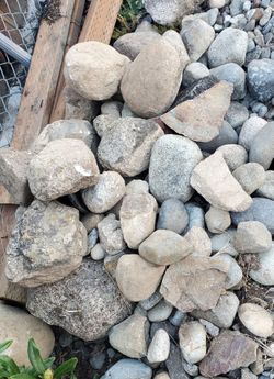 Rocks