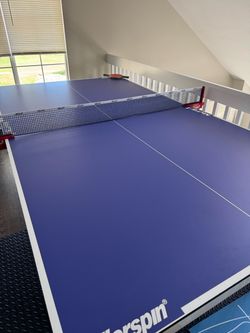 Killer Spin Ping Pong Table