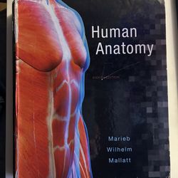 Human Anatomy: Marieb Wilhelm Mallatt 