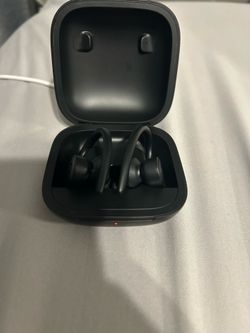 Beats Powerbeats Pro Wireless Earbuds with Case