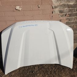 Ford F250 F-250 F350 F-350 F450 F-450 Hood 2017 2018 2019 2020 2021 2022 Part $100