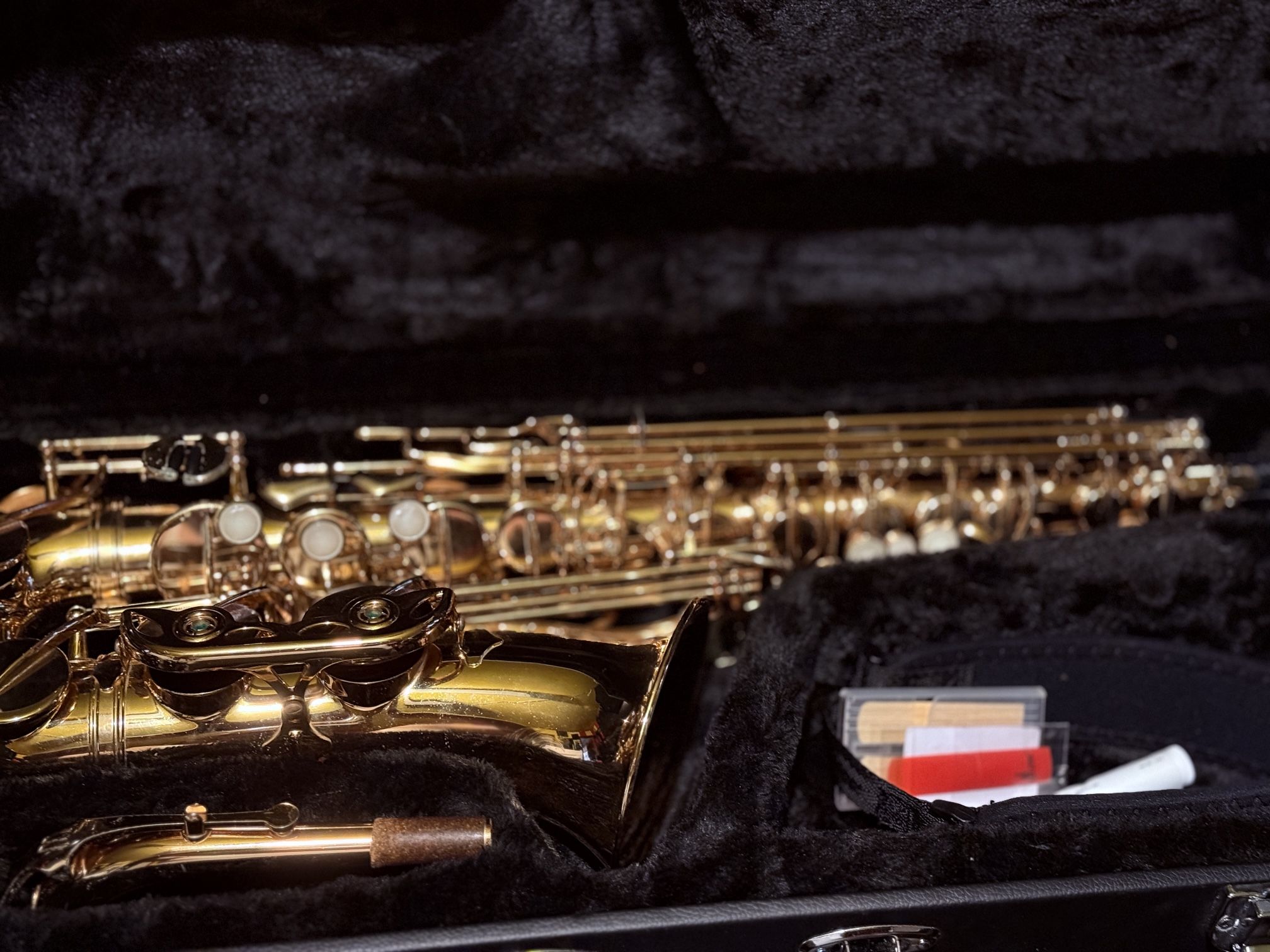Weril Alto Saxophone