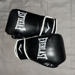 Everlast Boxing Gloves